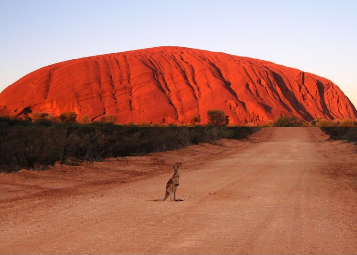 Anaïs-voyage-dans-son-assiette_003_CENTRE_02