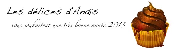 En_tête_Blog_delicesdanais_VOEUX 2013_01012013