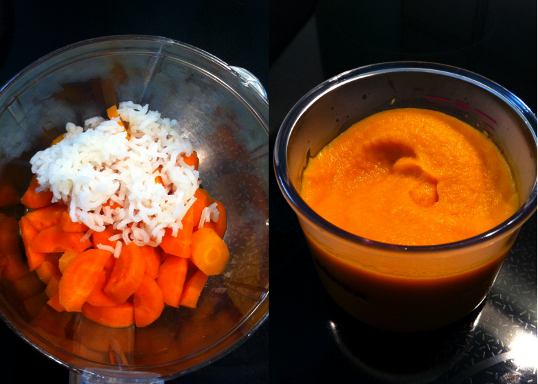 Montage Photos_PetitPlatBebe_Souper_CarottesRiz