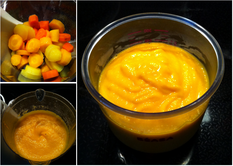 Montage Photos_PetitPlatBebe_Souper_DuoDeCarottesJaunesetOrangesPDT