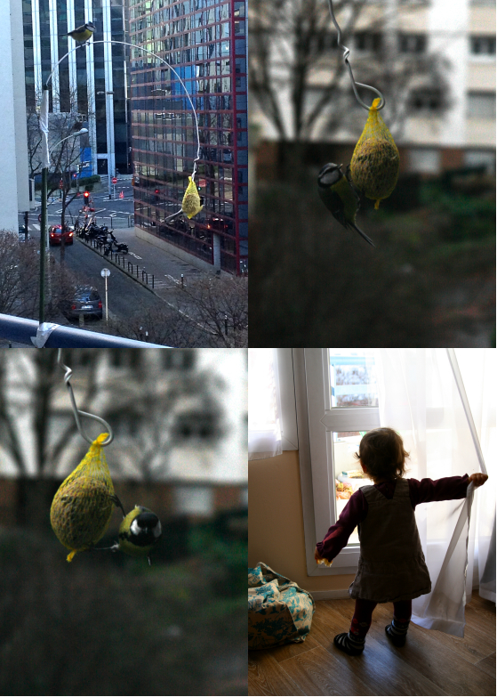 LDdA_NotrePetitCoinDeVerdure_Hiver_message