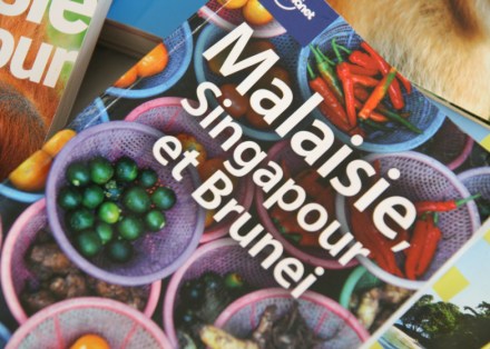 Anais-blogtrotter-guide-voyage-lonely-planet-malaisie
