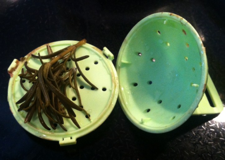 Babymoov-Diffuseur-de-saveurs-romarin