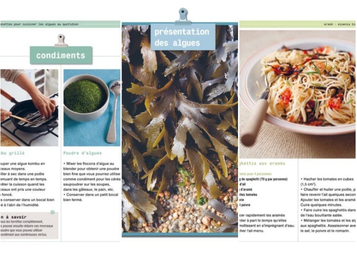 LIVRE_les-algues-au-maturel-Kyoko-Onishi-05