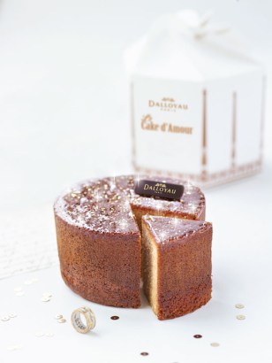 Cake d'amou peau d'ane 2