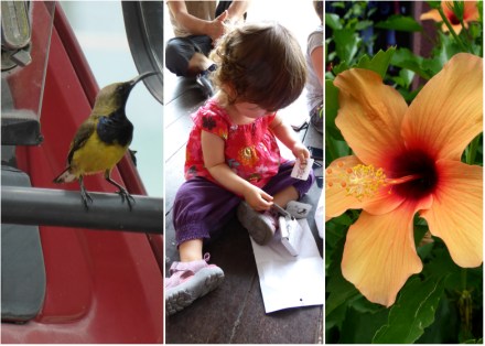 LDdA-Voyage-Malaisie-Tioman-island-1