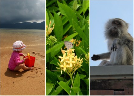 LDdA-Voyage-Malaisie-Tioman-island