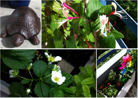 Notre-petit-coin-de-verdure_05-printemps