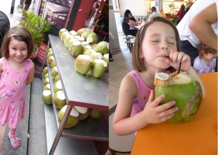 LDdA-Voyage-Malaisie-Singapour-Eau-de-coco