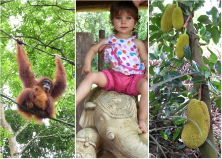 LDdA-Voyage-Malaisie-Singapour-Zoo-3