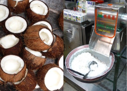 LDdA-Voyage-Singapour-noix-de-coco