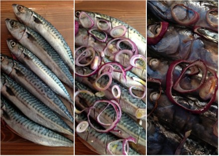 LDdA_defit_journees-de-la-mer-maquereaux