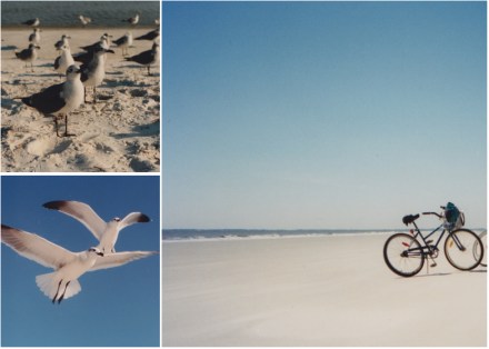 LDdA-Blogtrotter_USA_Sud_Est_Destin_Floride