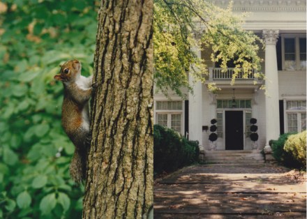 LDdA-Blogtrotter_USA_Sud_Est_Marietta