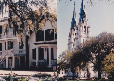 LDdA-Blogtrotter_USA_Sud_Est_Savannah3