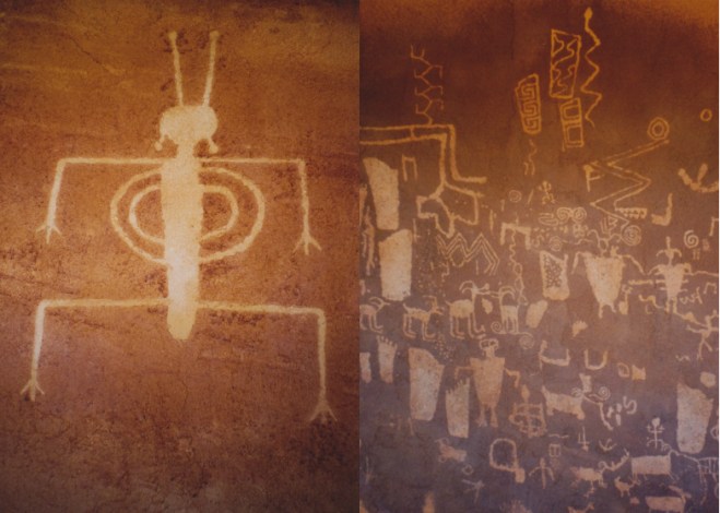 LDdA_USA_OUEST_Edge_of_Cedars