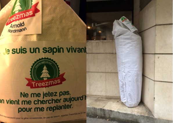 LDdA-notre-petit-coin-de-verdure_08-hiver-Noel-Sapin-Treezmas