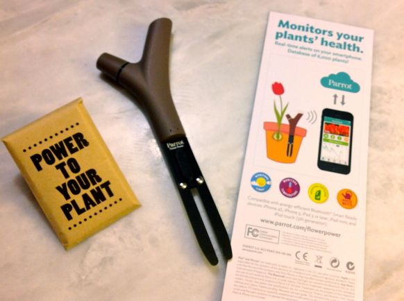 LDdA-notre-petit-coin-de-verdure_08-Power-Flower-Parrot-00