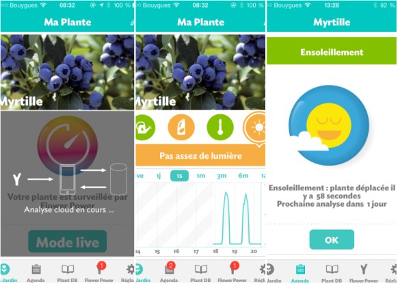 LDdA-notre-petit-coin-de-verdure_08-Power-Flower-Parrot-02