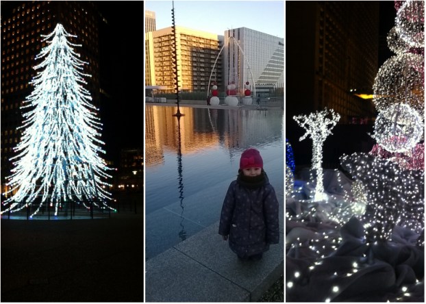 LDdA-notre-petit-coin-de-verdure_08_Hiver