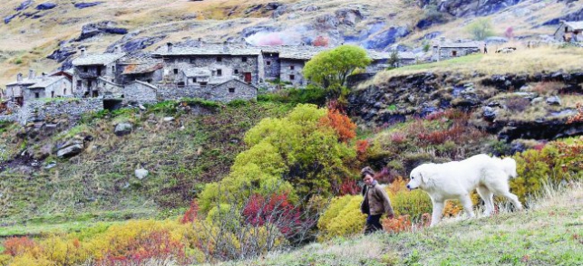 Lesdelicesdanais_FILM_Belle-et-Sebastien-Vanier-2013_vanoise
