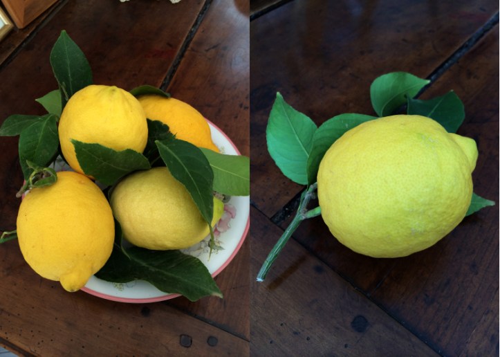 LDdA_Recette-Limoncello_00