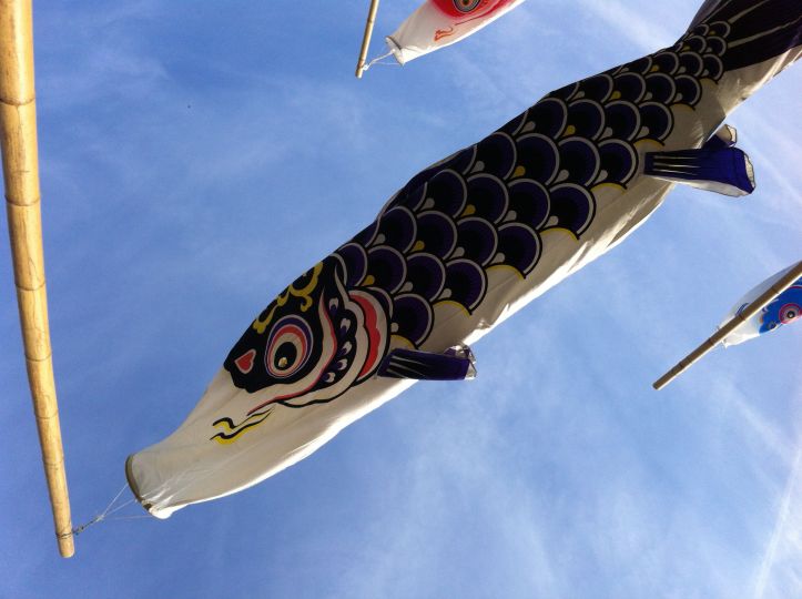 Les-delices-d-Anais_Koinobori