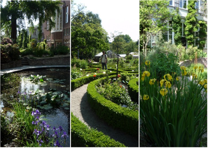 LDdA_Anais-voyage-dans-son-assiette-Holland-Amsterdam-04