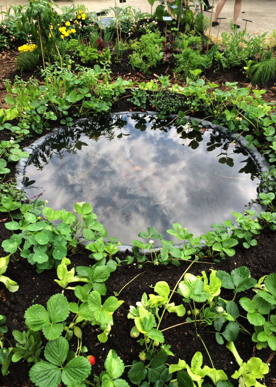 LDdA_Jardins-Jardin-Tuileries-09-esprit-jardin-comestible