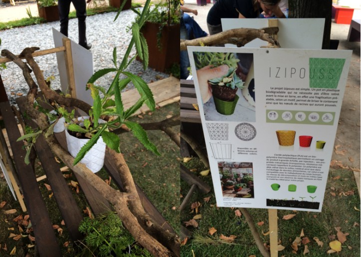 LDdA_Jardins-Jardin-Tuileries-17-Izipouss