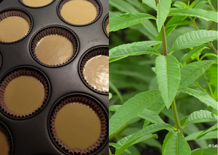 LDdA_Recette-muffin-mures-3