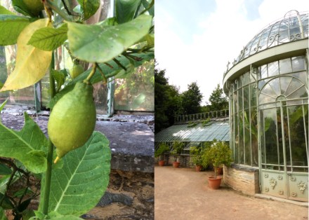 Escapade-gourmande-Cherbourg-Chateau_de_Ravalet-08