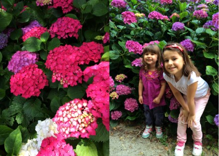 Escapade-gourmande-Cherbourg-Chateau_de_Ravalet-09