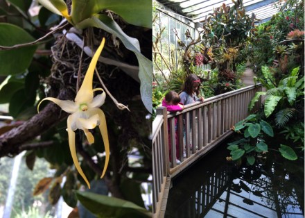 Escapade-gourmande-Cherbourg-Parc_Emmanuel_Liais_02