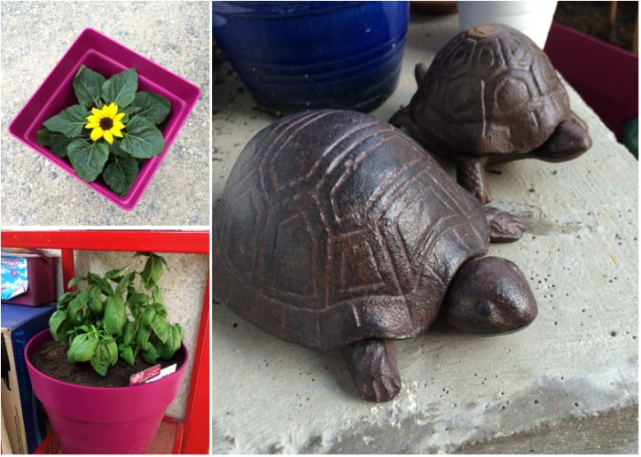 LDdA-notre-petit-coin-de-verdure_09_achats