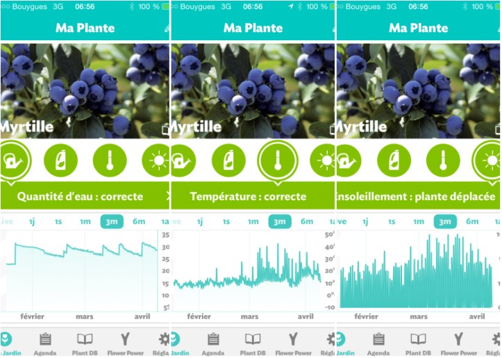 LDdA-notre-petit-coin-de-verdure_09_Flower-power