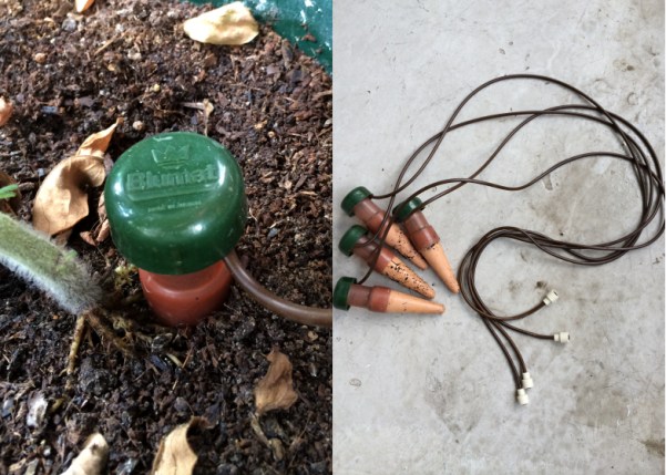 LDdA-notre-petit-coin-de-verdure_10_Ete_Blumat