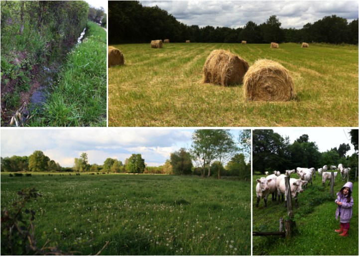 LDdA_Escapade_gourmande_bourbonnais_11