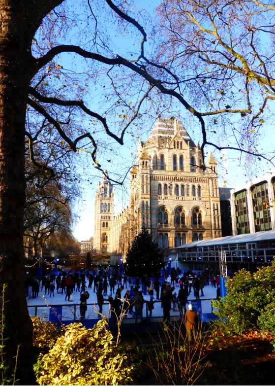 Anais_blogtrotteur-London_NHM