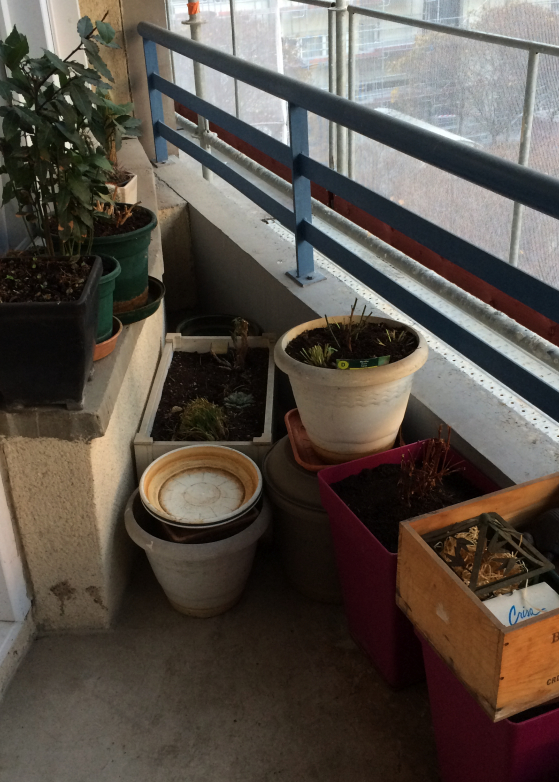 LDdA-notre-petit-coin-de-verdure_11_rangement