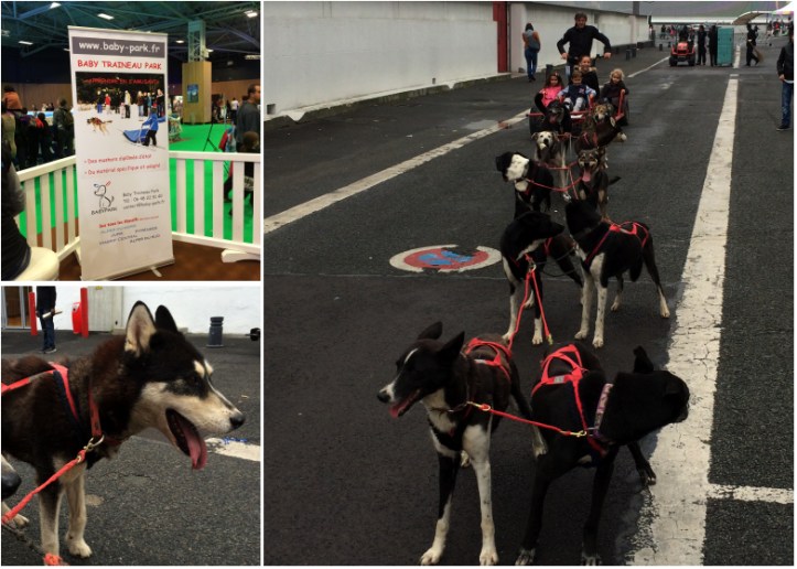 Lesdelicesdanais_Baby_traineau_KidsExpo_2014