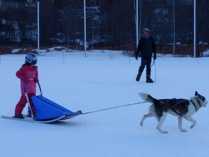 Lesdelicesdanais_Baby_traineau_Mushing_Addict_09