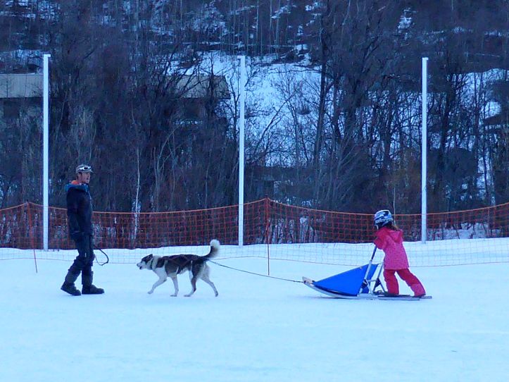 Lesdelicesdanais_Baby_traineau_Mushing_Addict_14