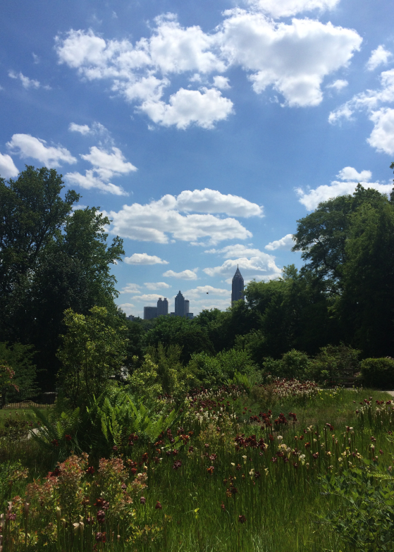 LDdA_Anais-voyage-dans-son-assiette-Madere-jardin-botanique-07