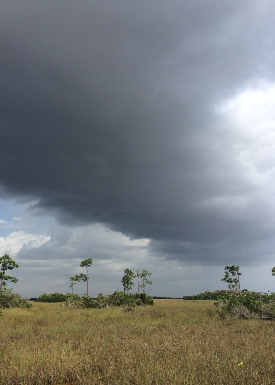 LDdA_Anais-voyage-dans-son-assiette-USA_Everglades_Pa-hay-okee Overlook_02
