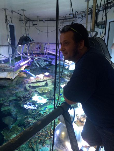 La_cite_de_la_mer_Aquarium_visite_coulisse_10