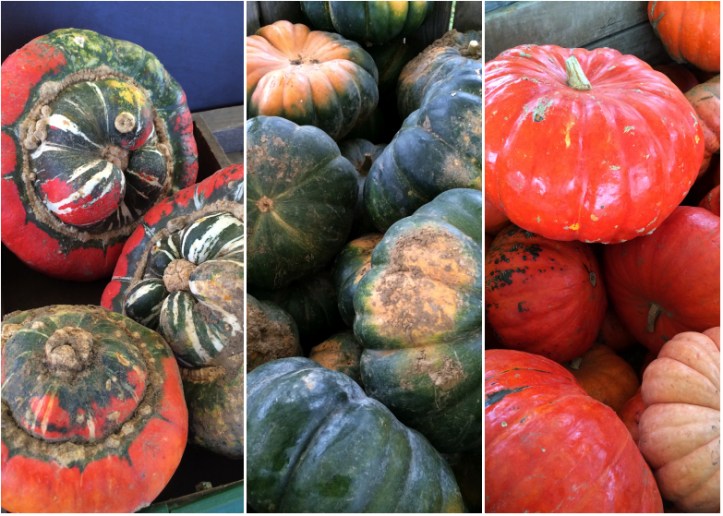 Recette_Graine_courge_01