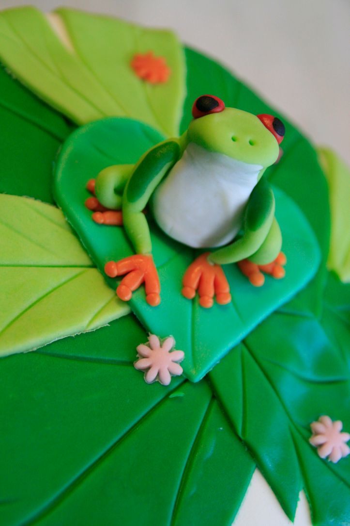 LDDA_Gateau_Anniversaire_Rainforest_Grenouille_Cakedesign