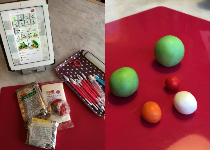 LDDA_Gateau_Anniversaire_Rainforest_Grenouille_Cakedesign_01