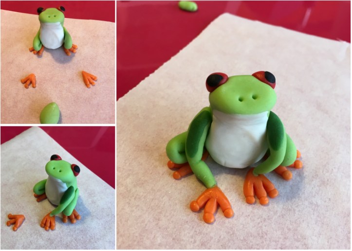 LDDA_Gateau_Anniversaire_Rainforest_Grenouille_Cakedesign_04